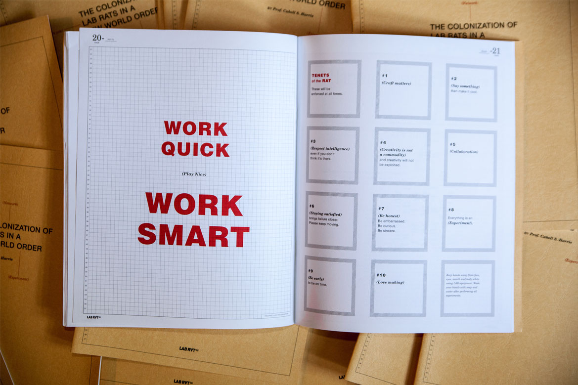 Lab Rats portfolio image 2