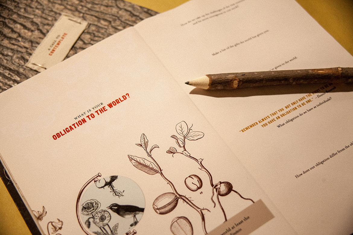 Walden portfolio image 2