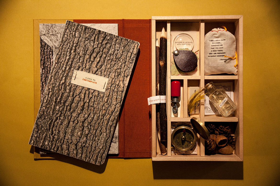 Walden portfolio image 3