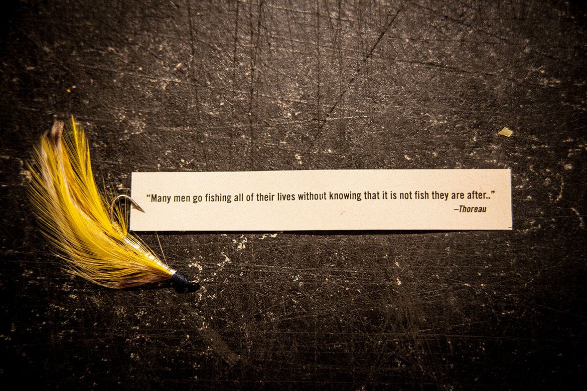 Walden portfolio image 5