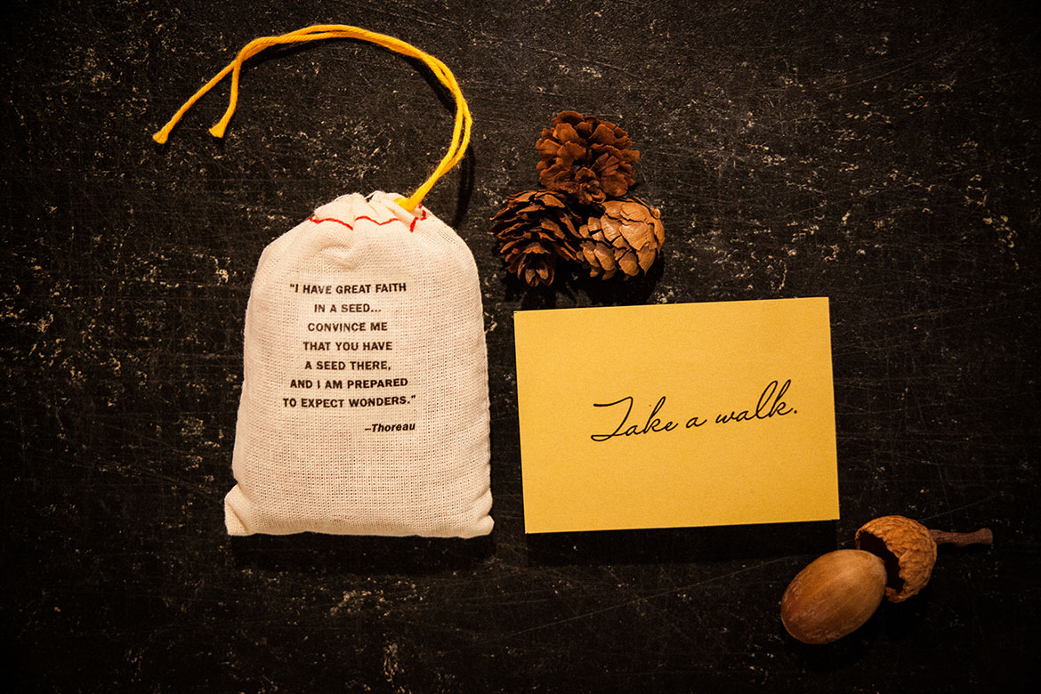 Walden portfolio image 6