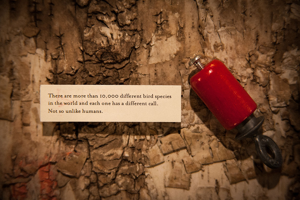 Walden portfolio image 7