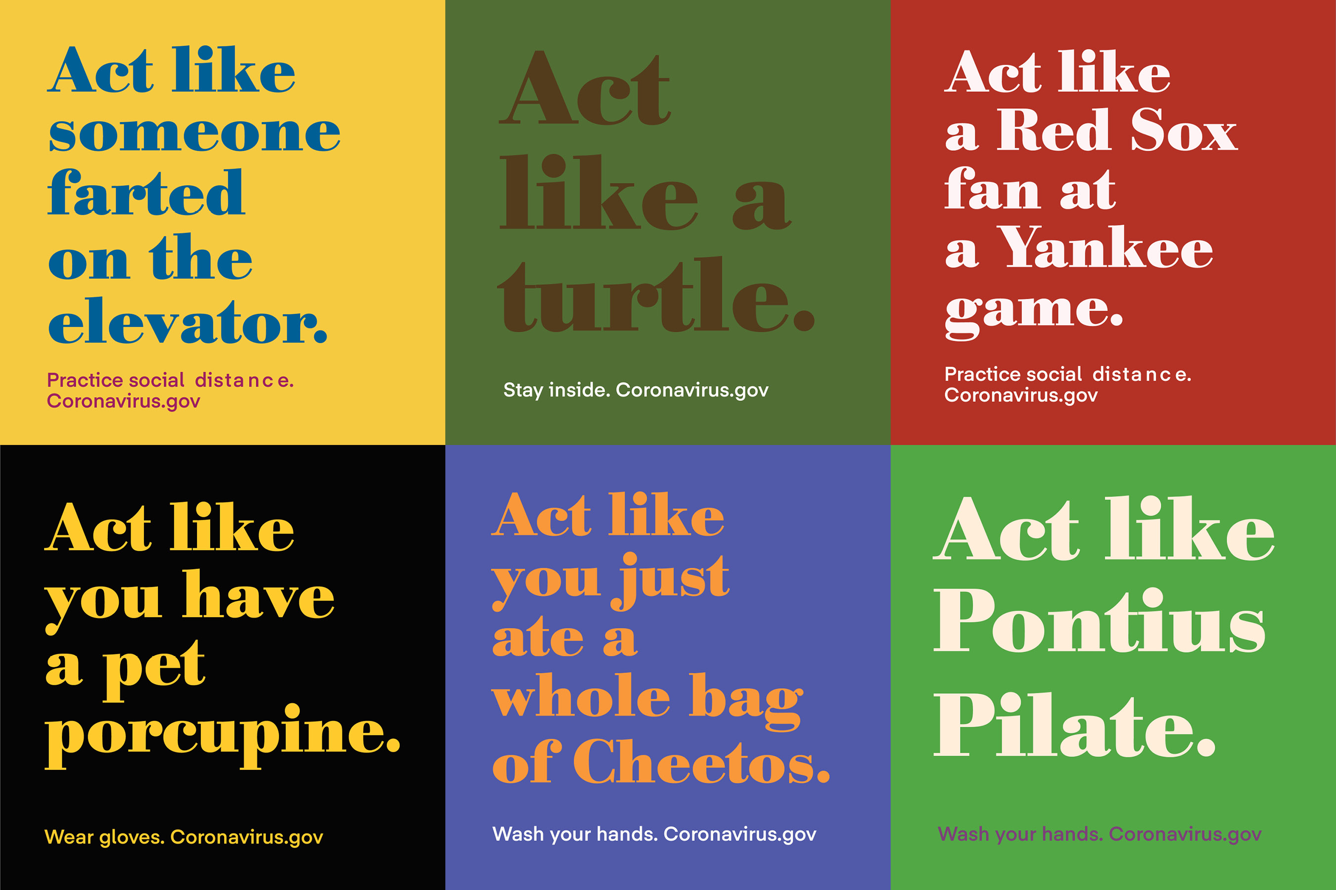 ACT COVID-19 portfolio image 3