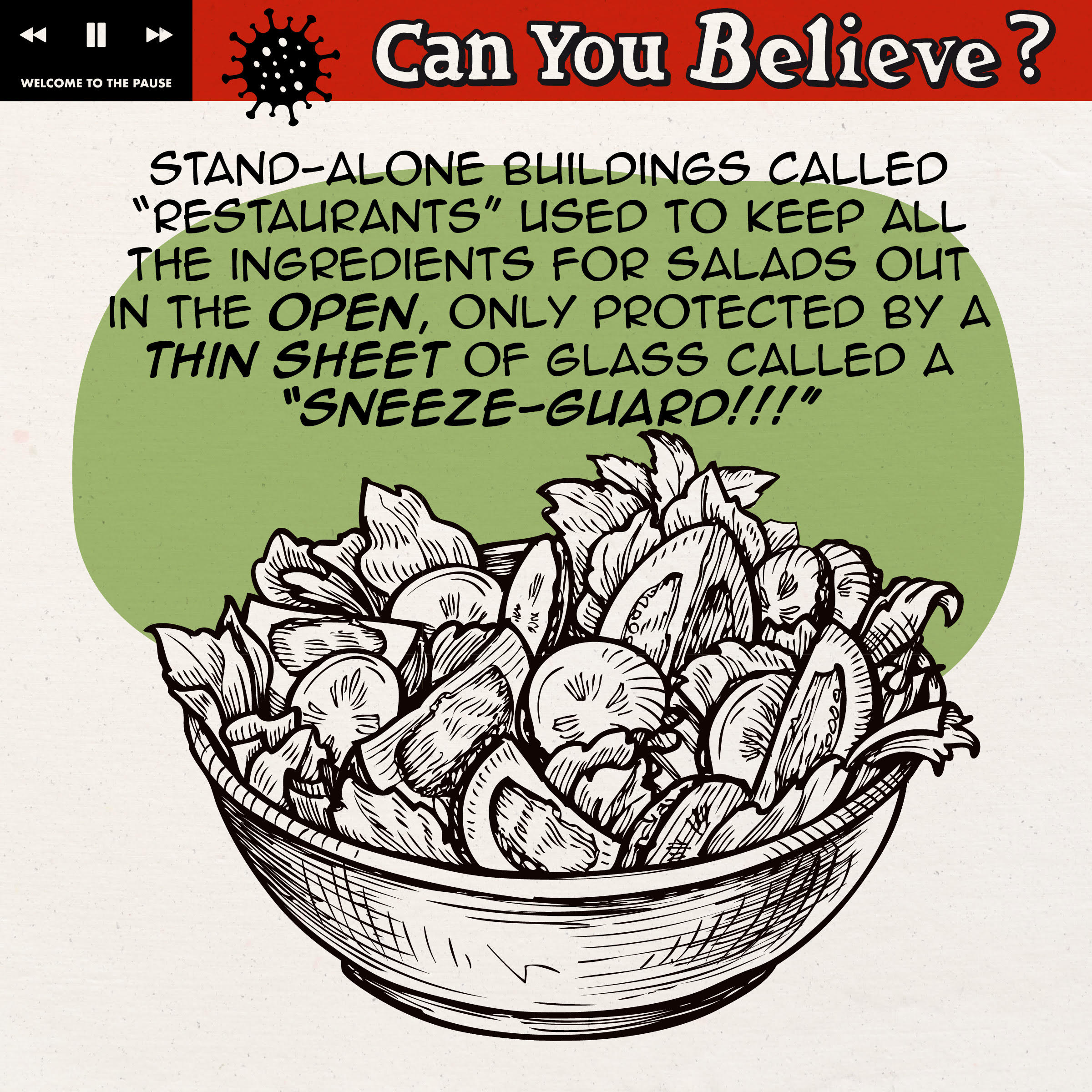 Can You Believe portfolio image 3