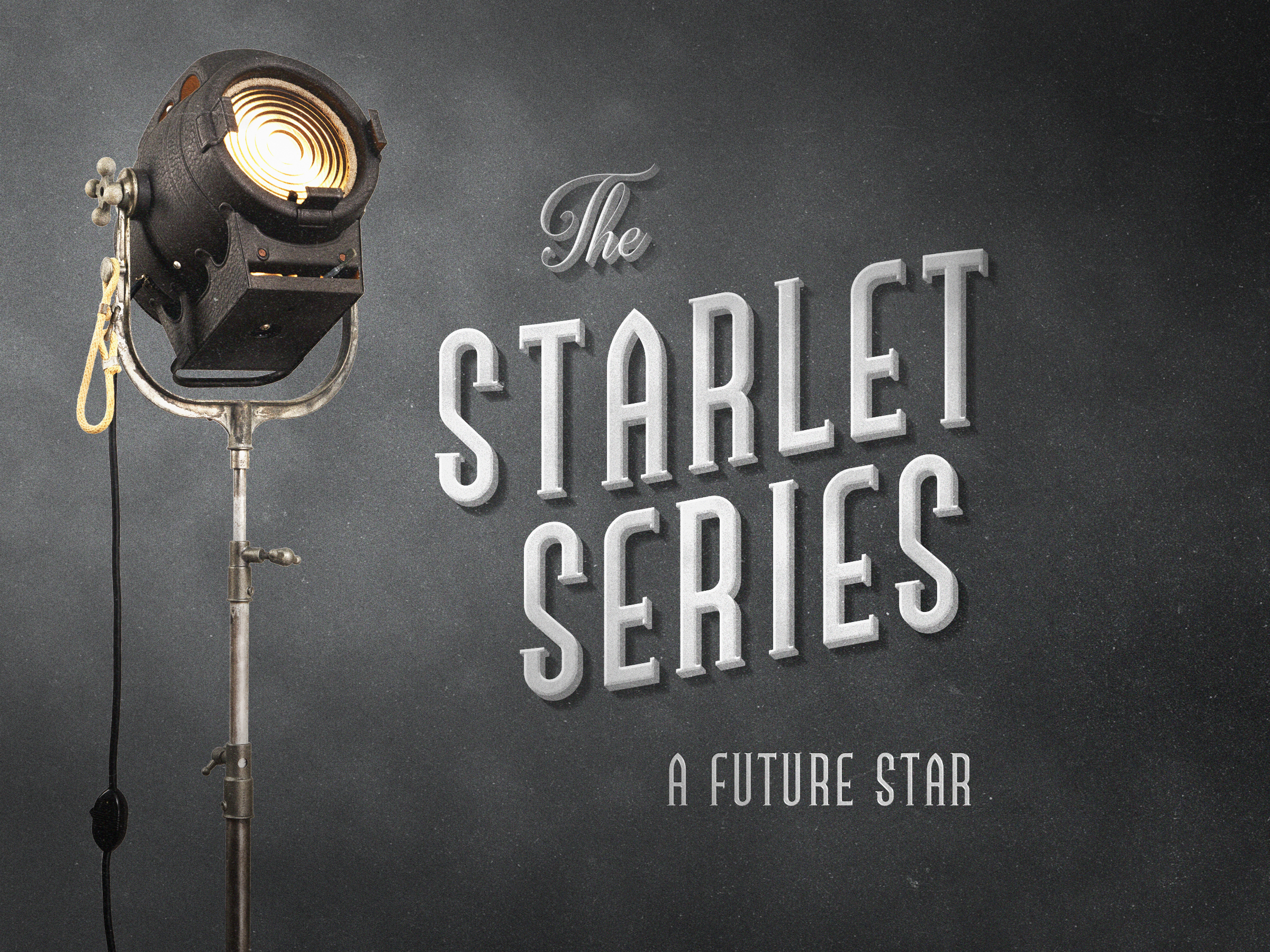 Old Hollywood Light Co. portfolio image 3