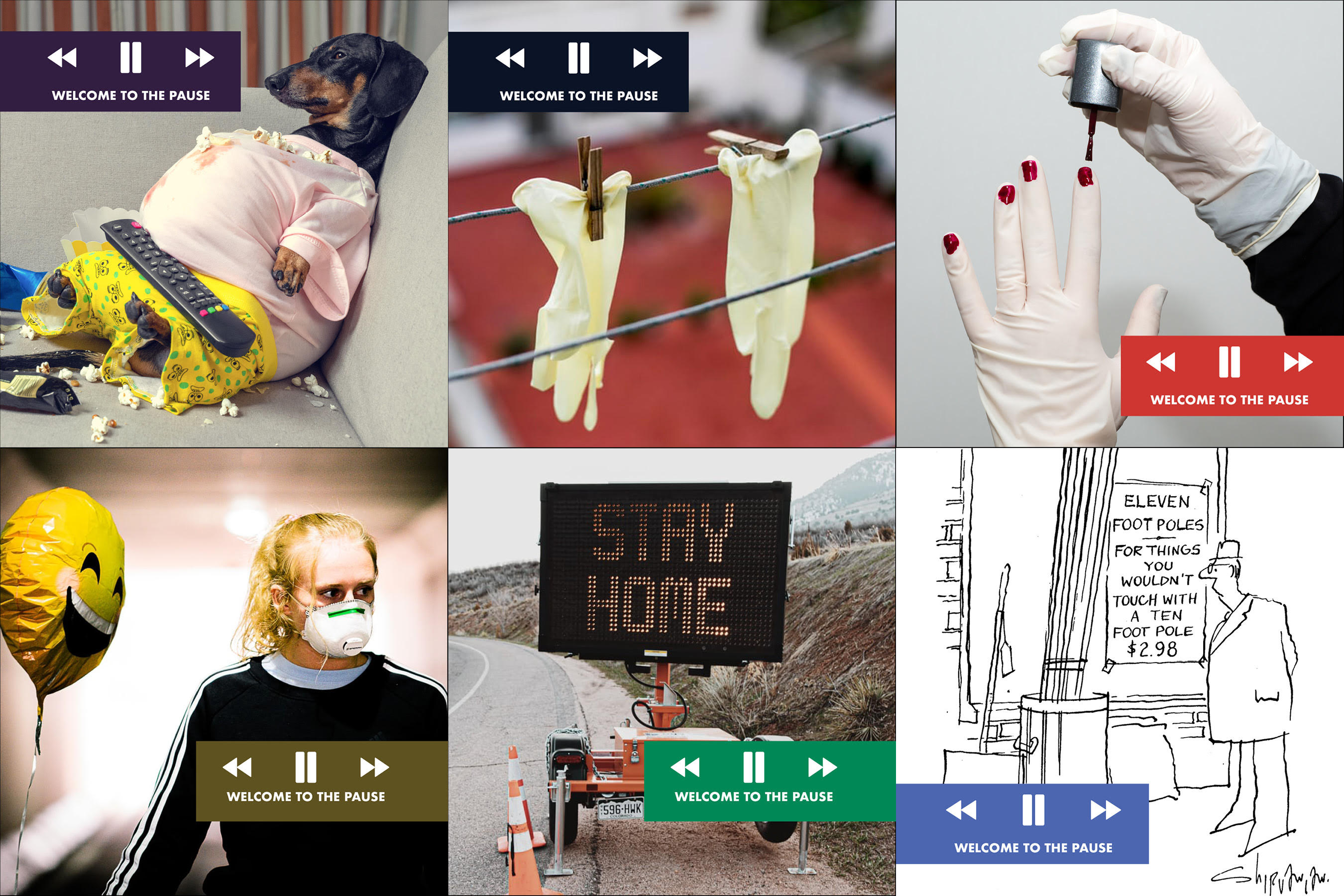 Pause portfolio image 4