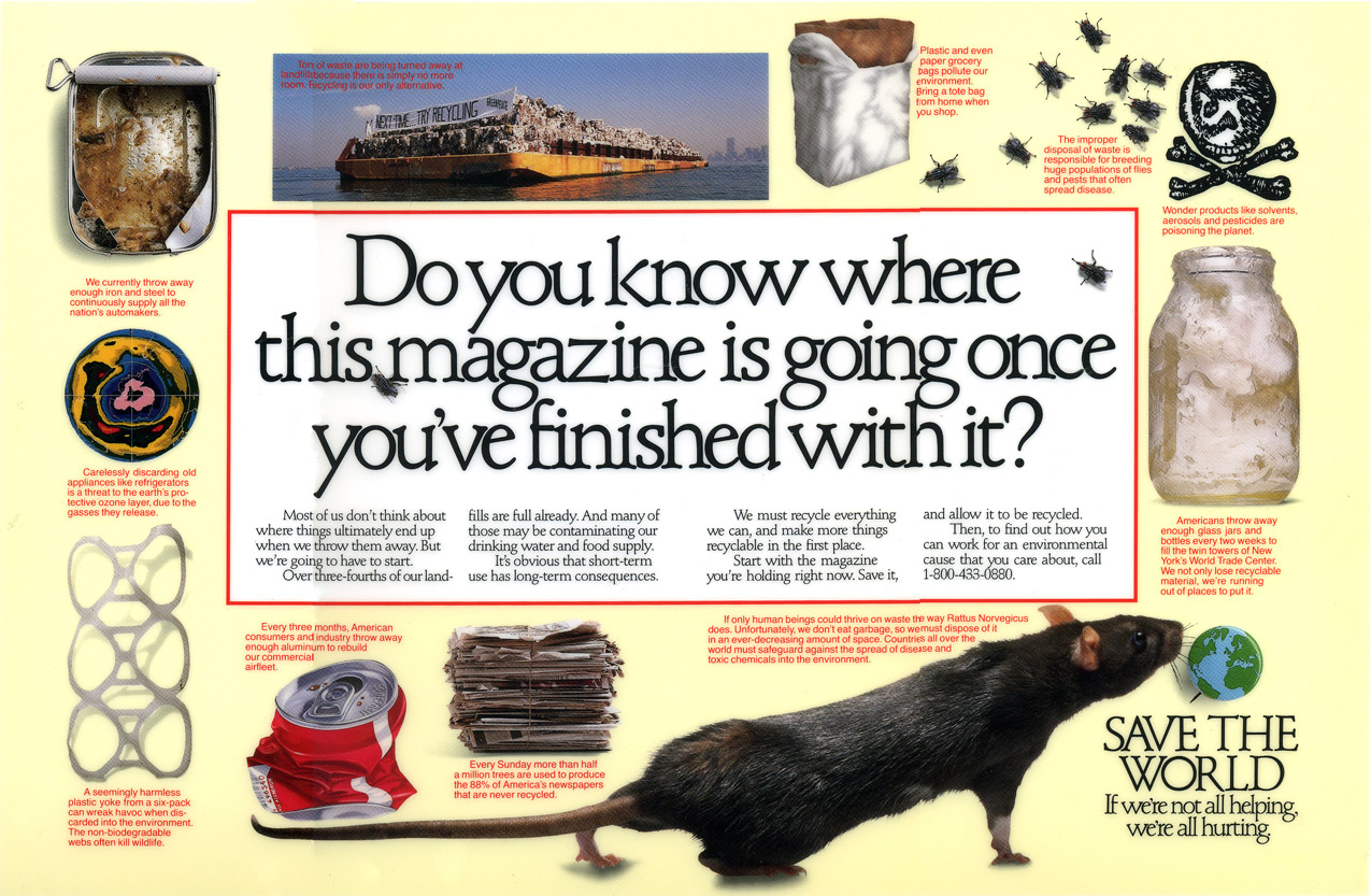 Save The World portfolio image 3