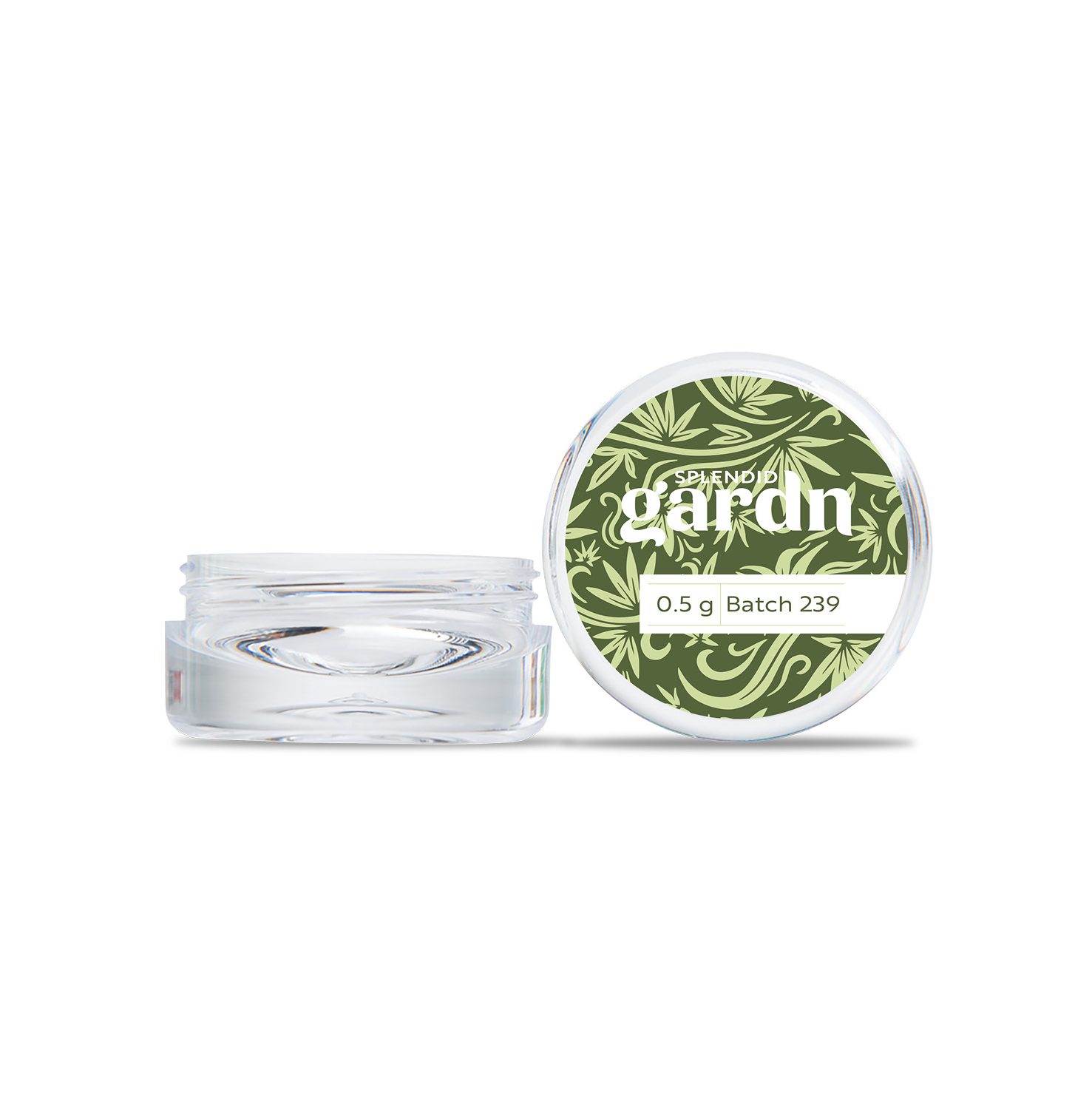 Splendid Gardn portfolio image 2