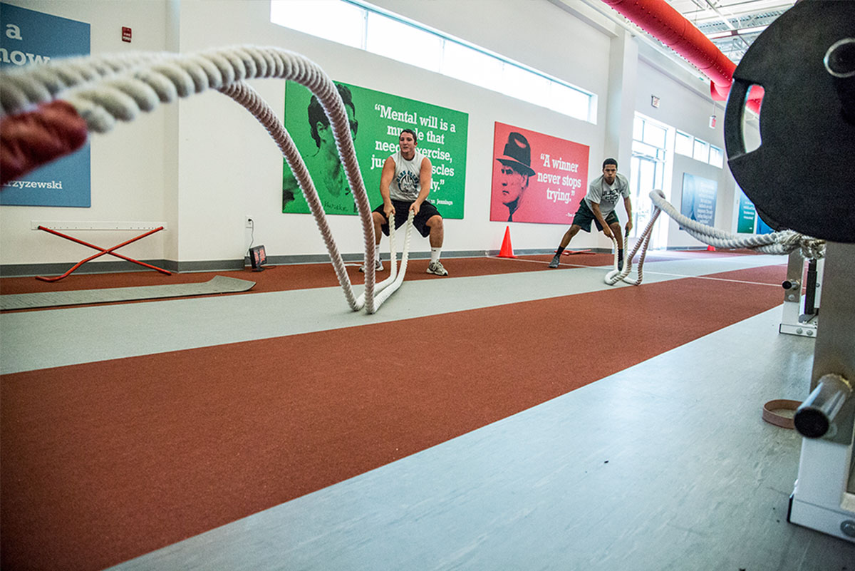 Sports Performance Institute portfolio image 4