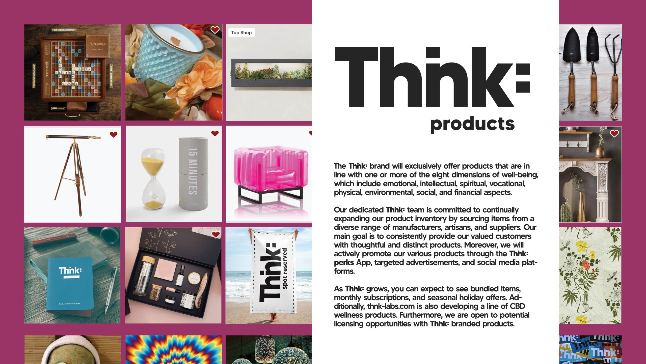 Thnk portfolio image 6