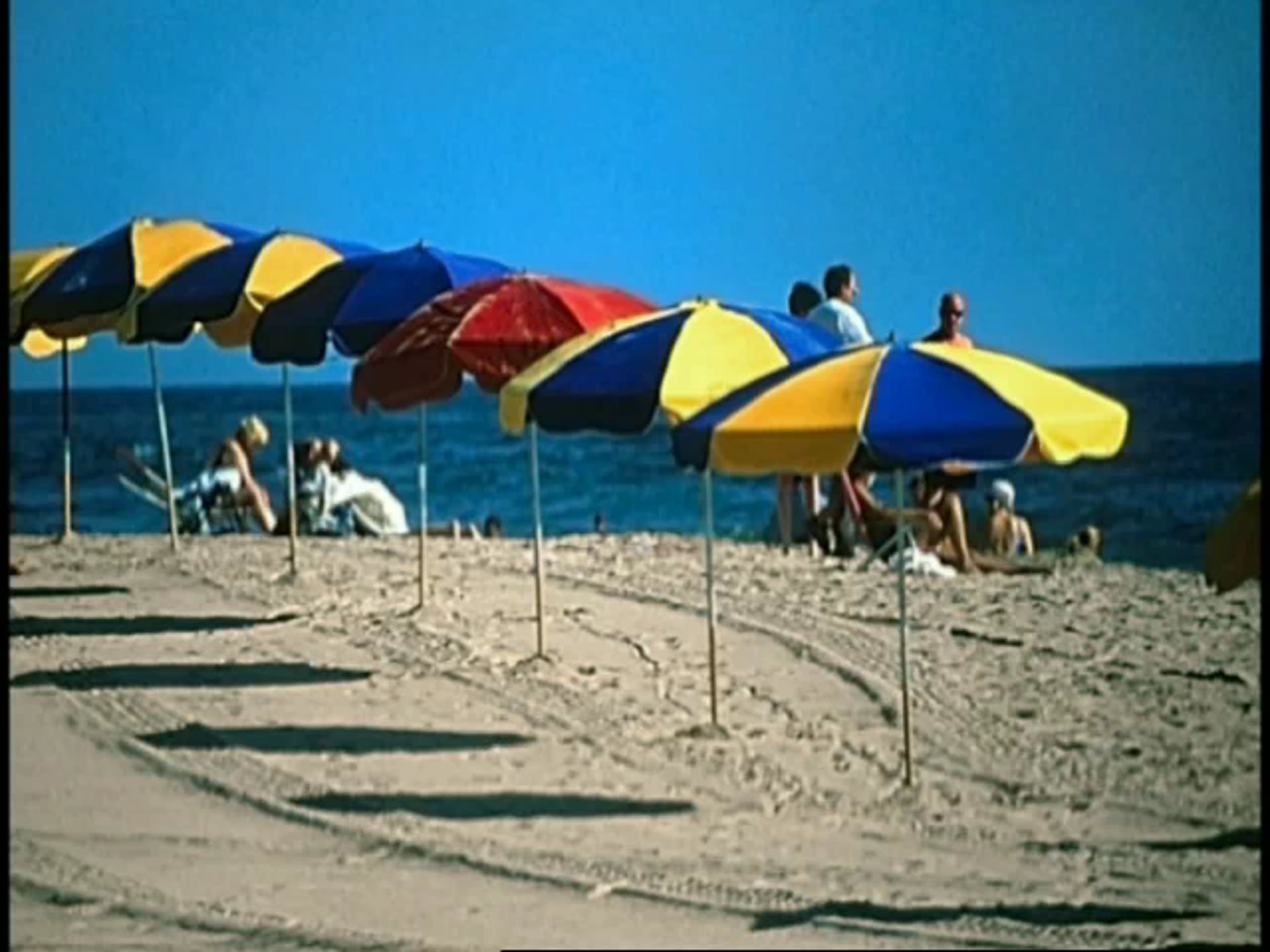 Virginia Is For Lovers portfolio image 3