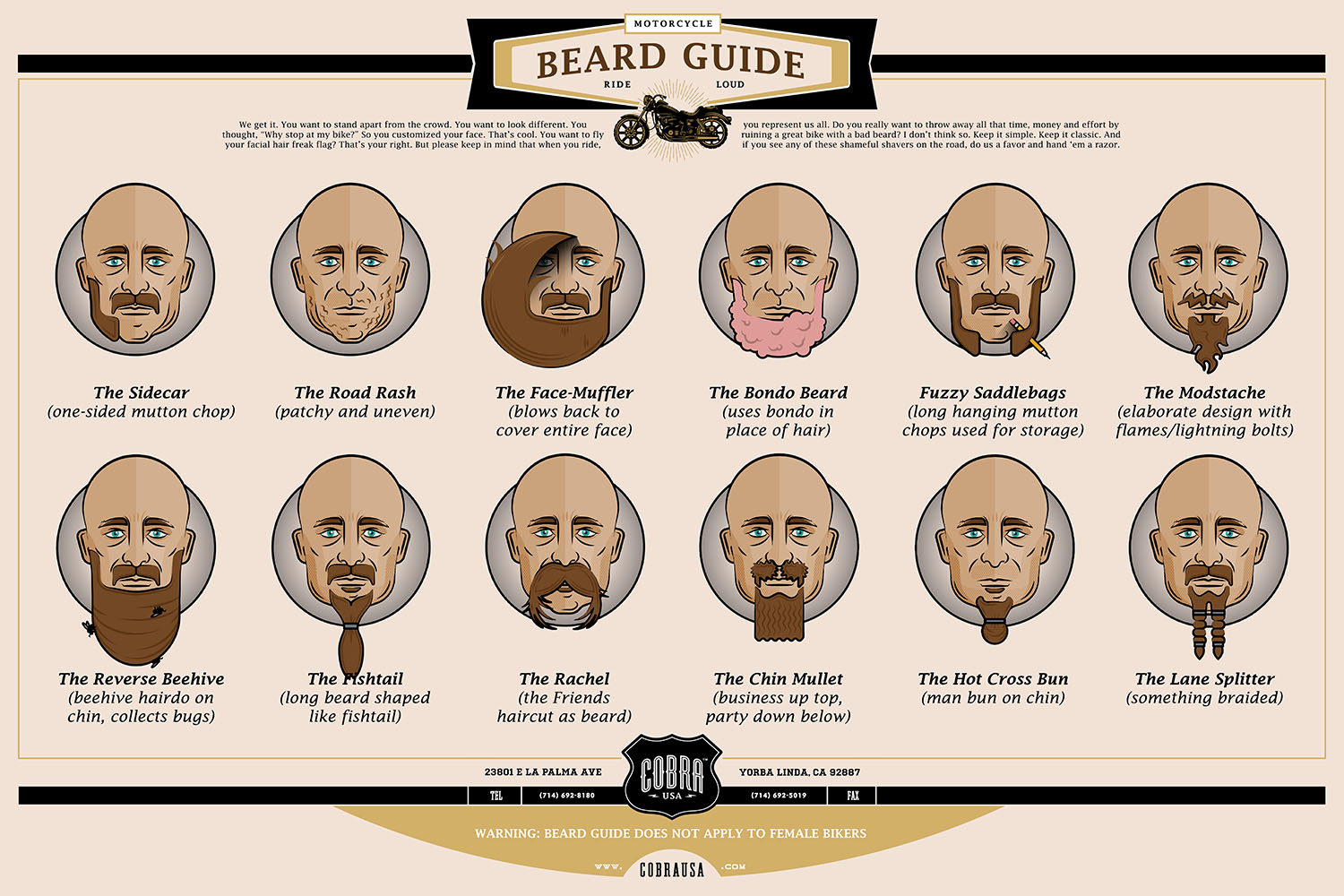 Cobra Usa portfolio image 5