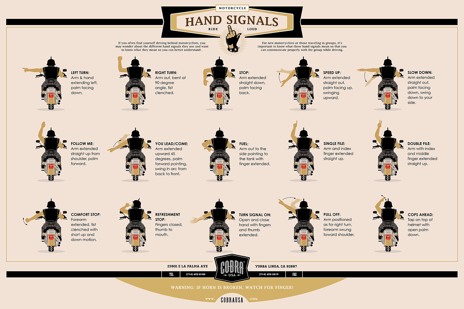 Cobra Usa portfolio image 6