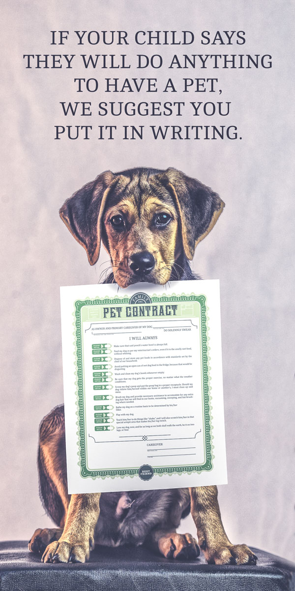Pet Contract project thumbnail