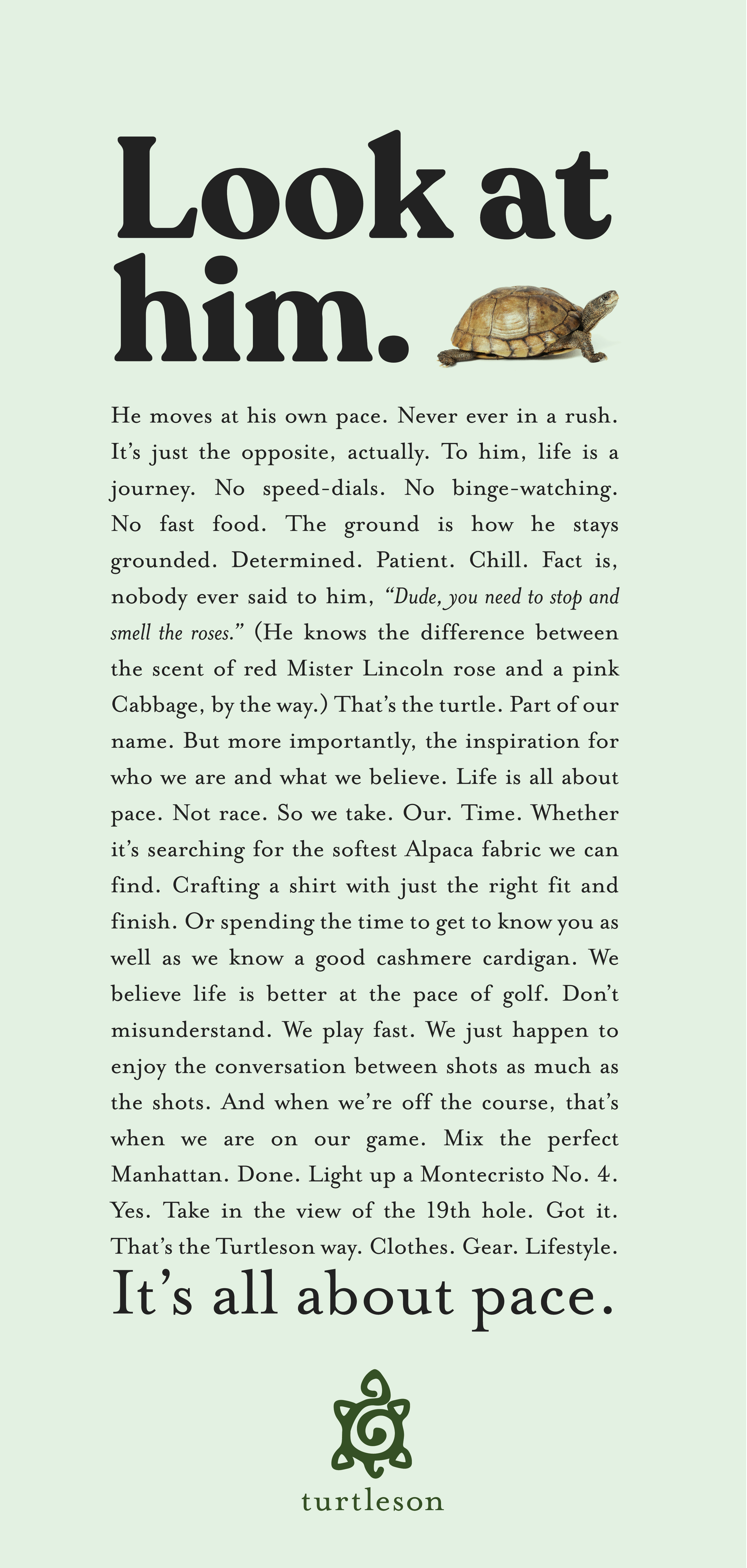 Turtleson portfolio image 2