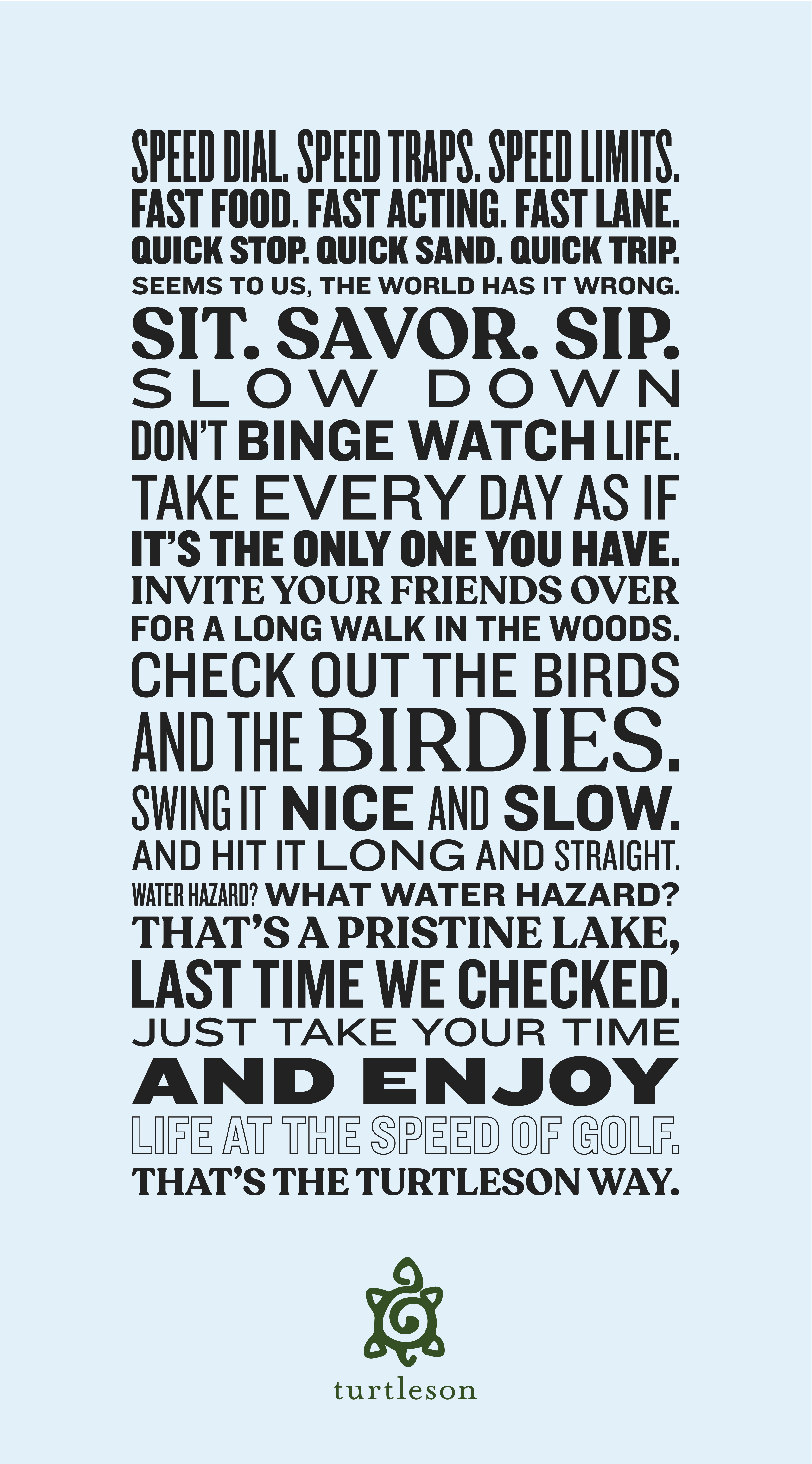 Turtleson portfolio image 3