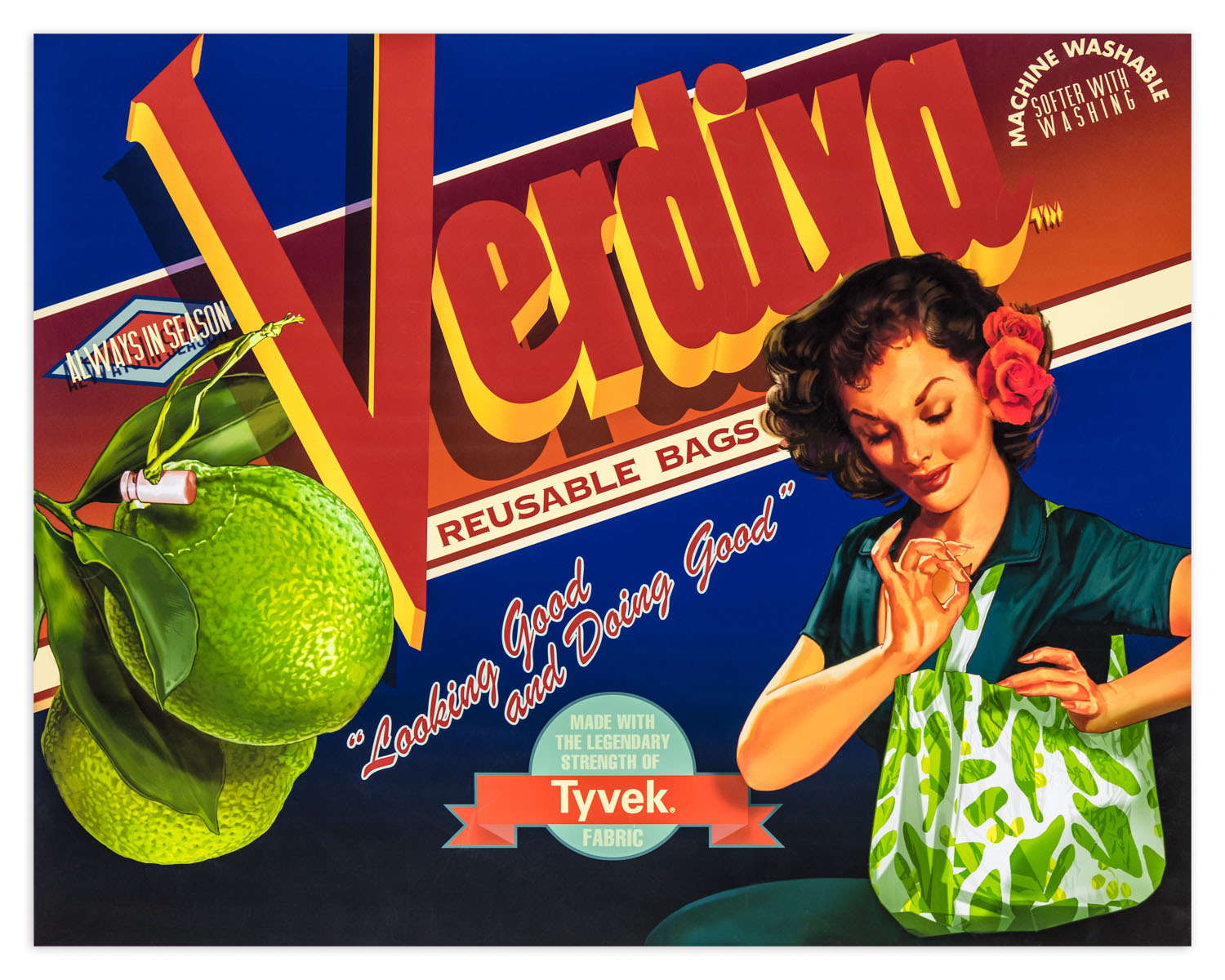 Verdiva portfolio image 2