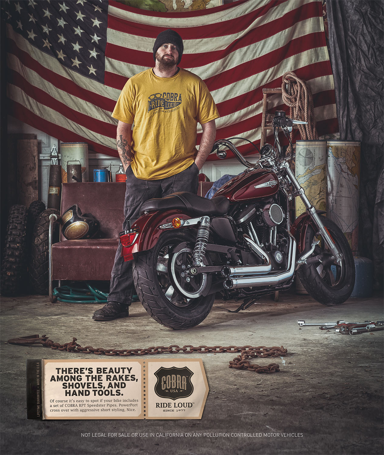 Cobra Usa portfolio image 8