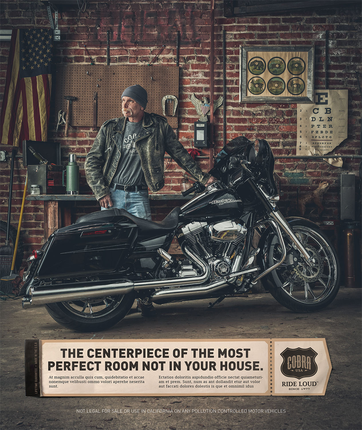 Cobra Usa portfolio image 9