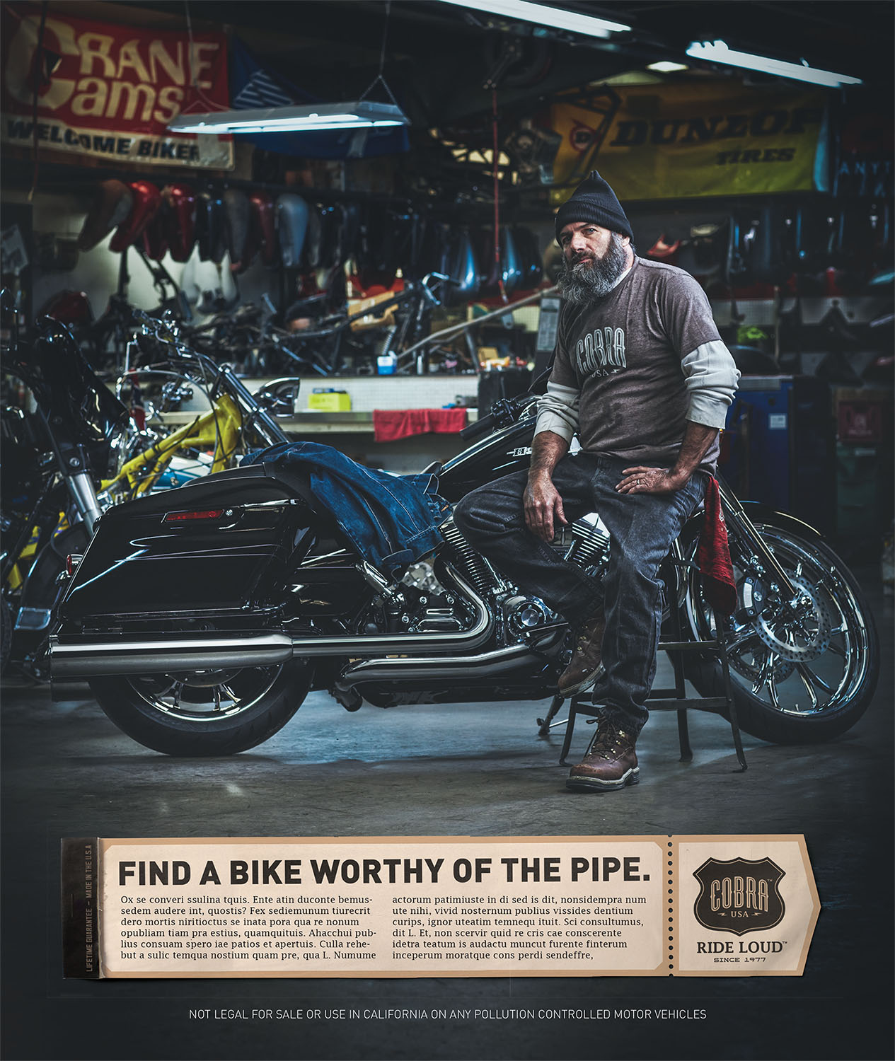 Cobra Usa portfolio image 10