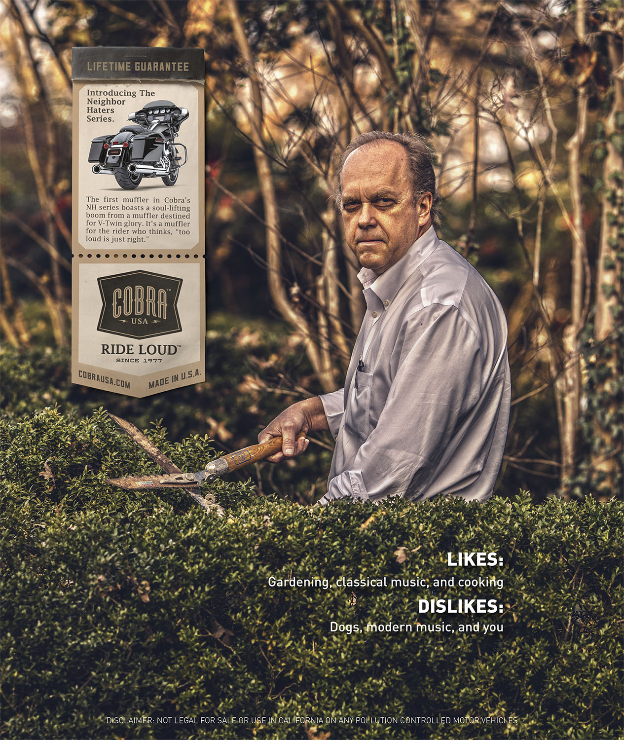 Cobra Usa portfolio image 11