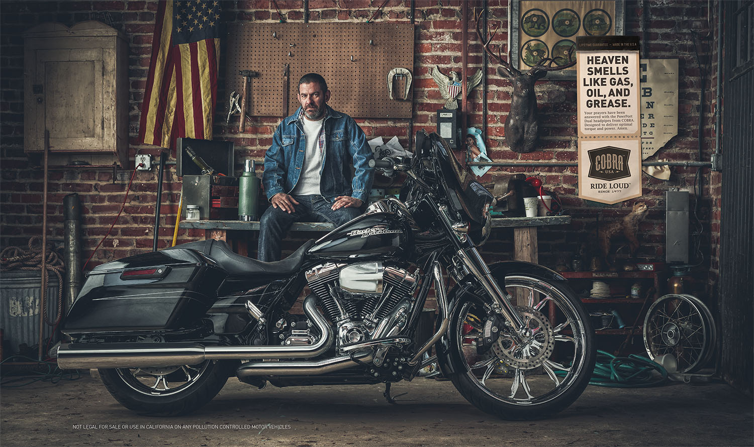 Cobra Usa portfolio image 13