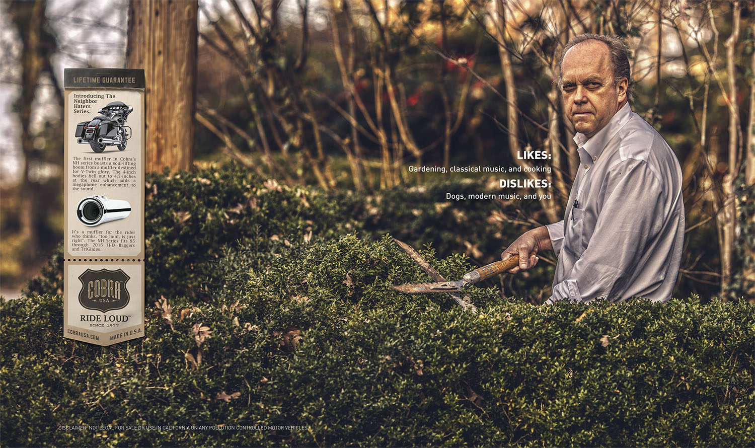 Cobra Usa portfolio image 15