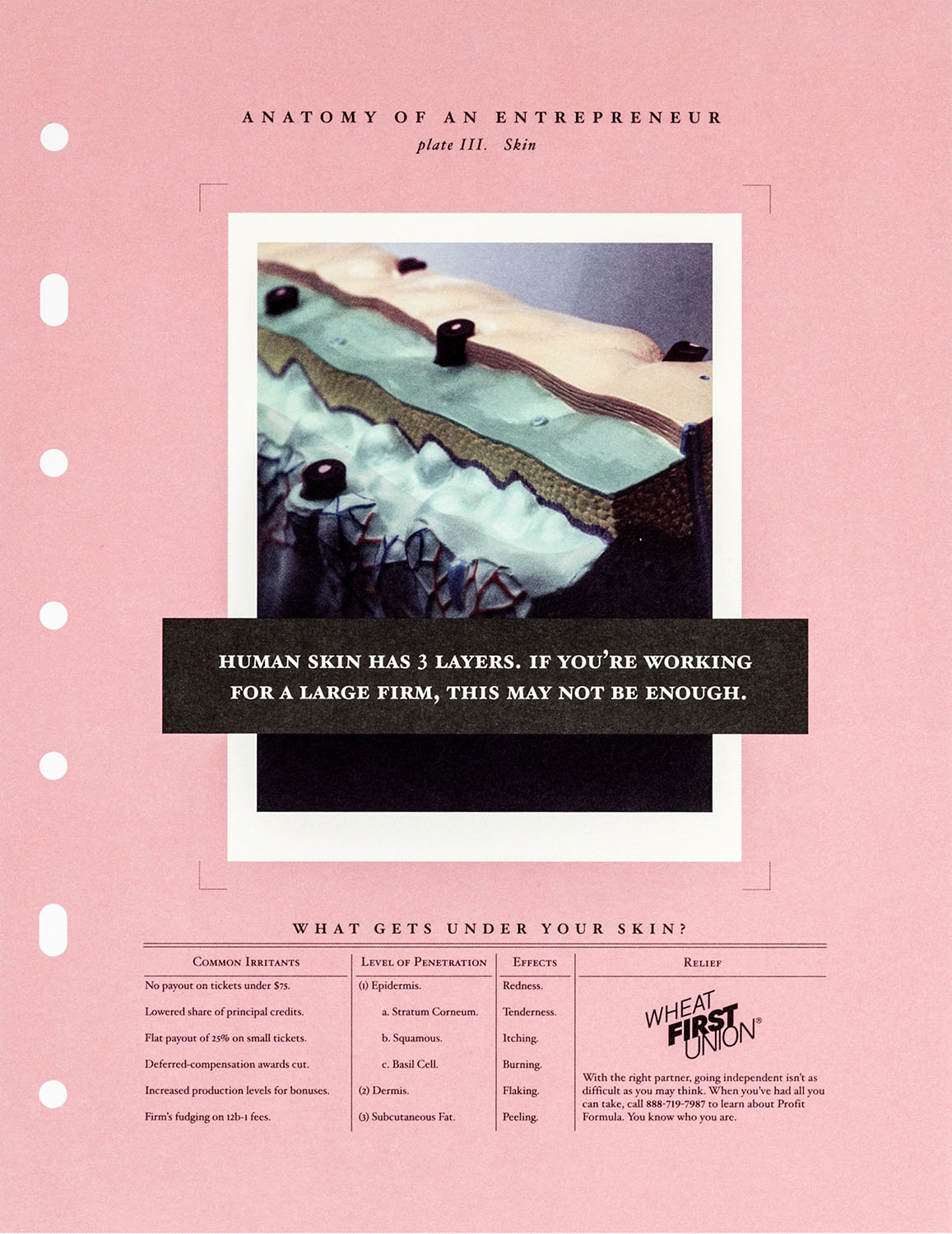 First Union portfolio image 2