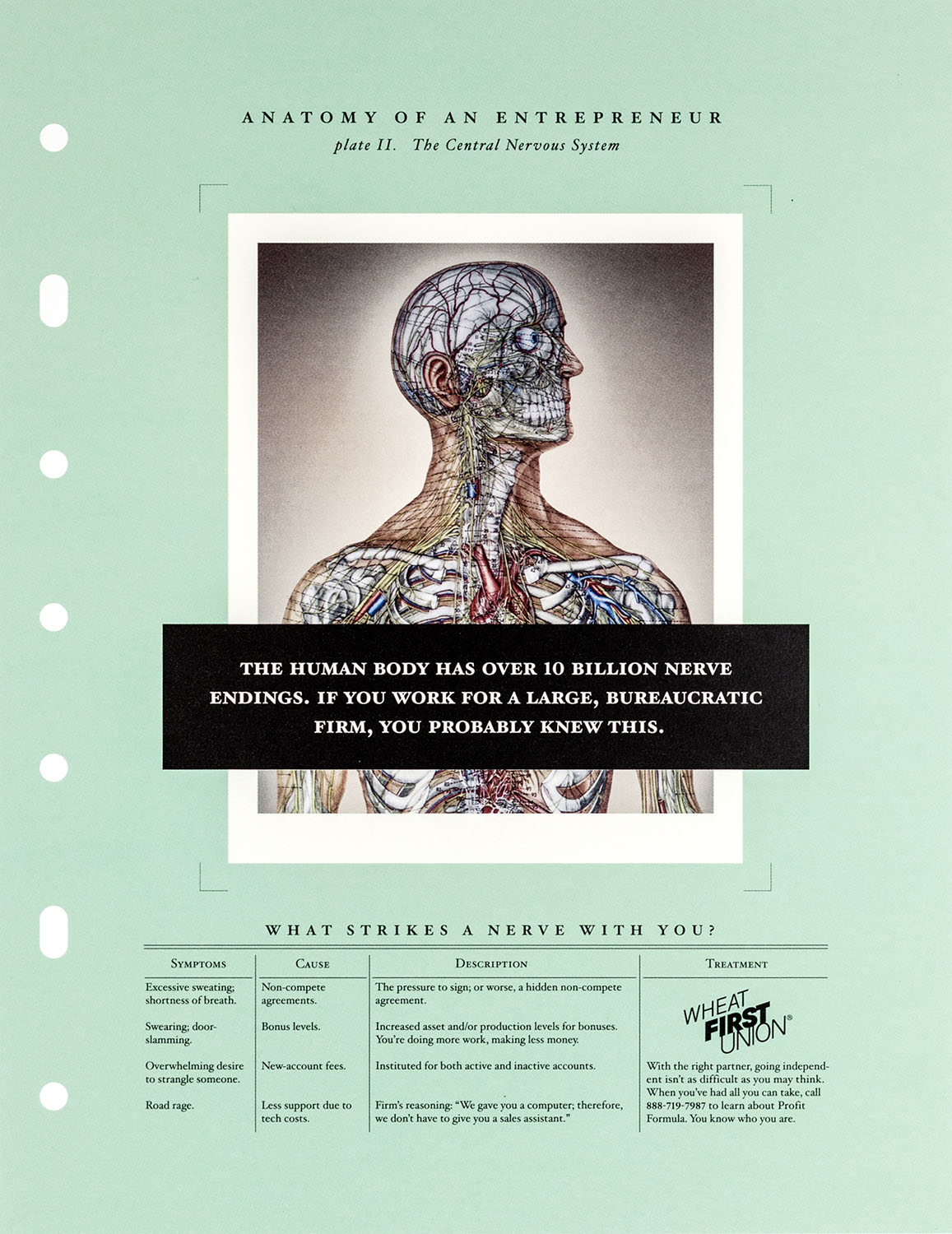 First Union portfolio image 3