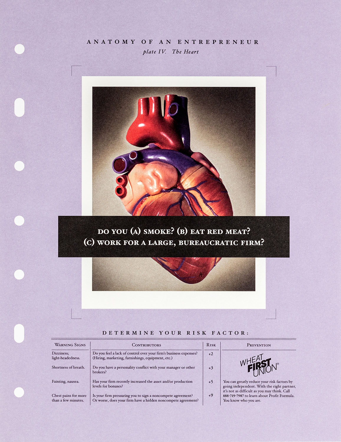 First Union portfolio image 4