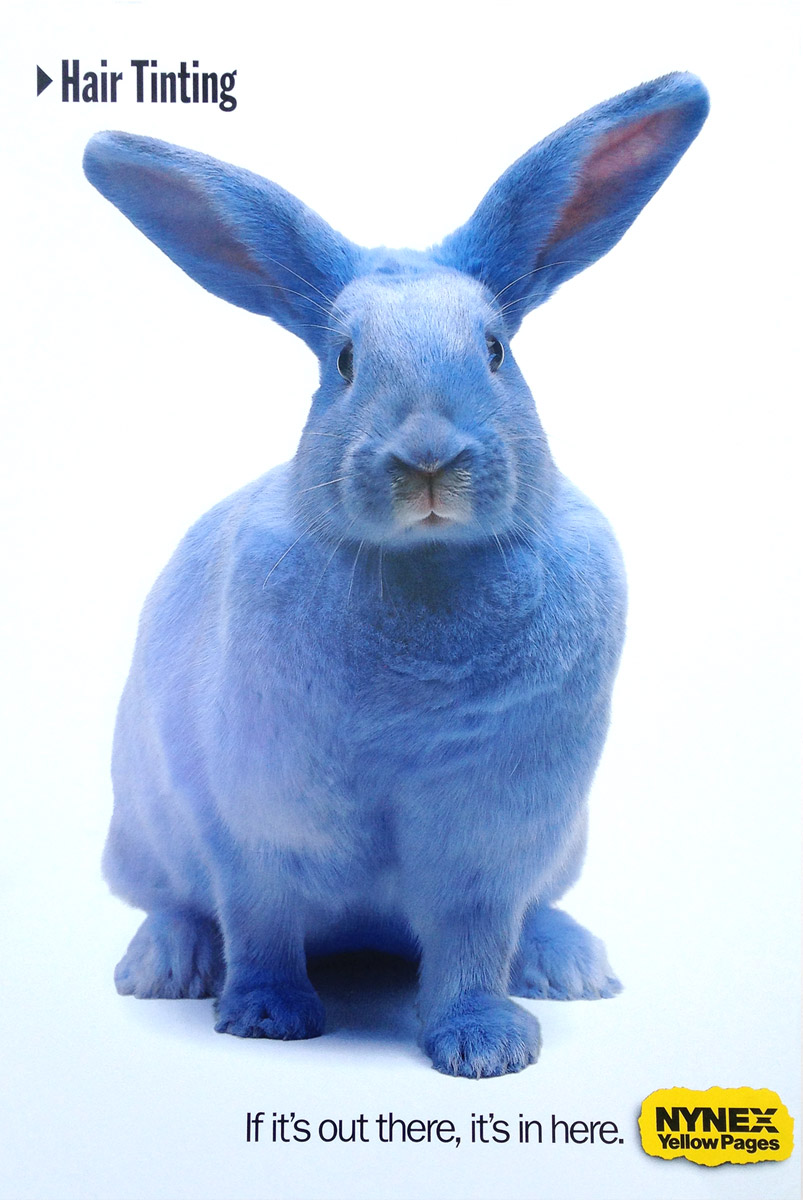 NYNEX portfolio image 2