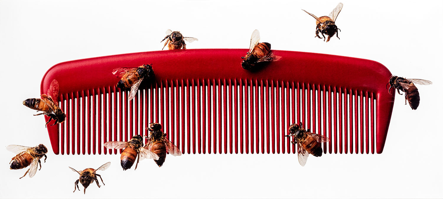 NYNEX portfolio image 5