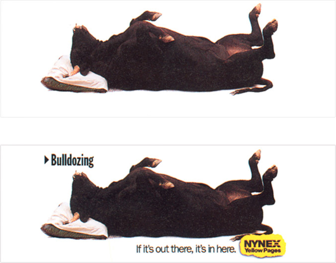 NYNEX portfolio image 6