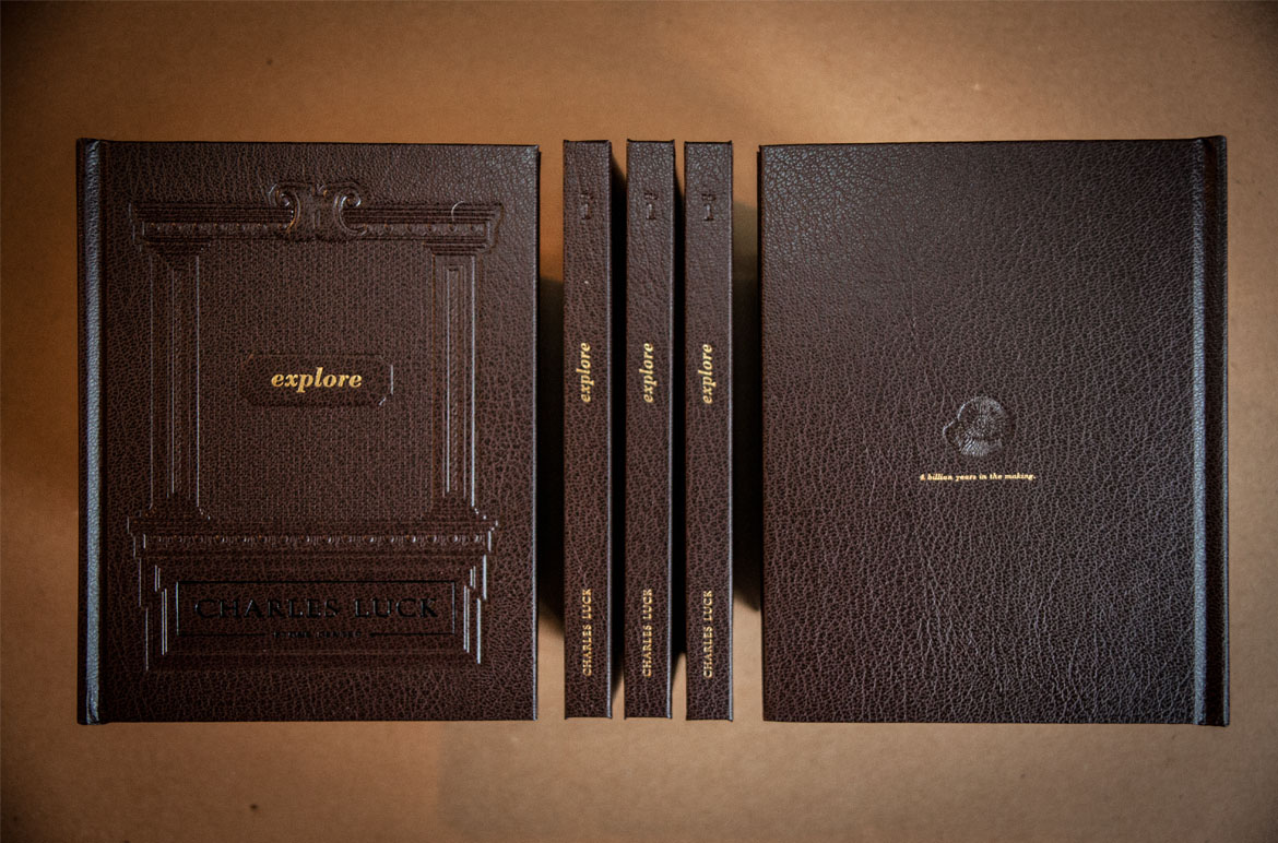 Ica portfolio image 8