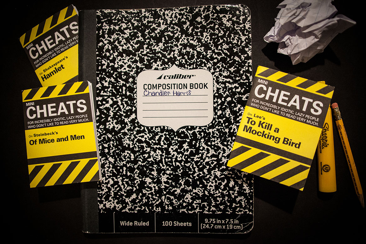 Mini Cheats portfolio image 2