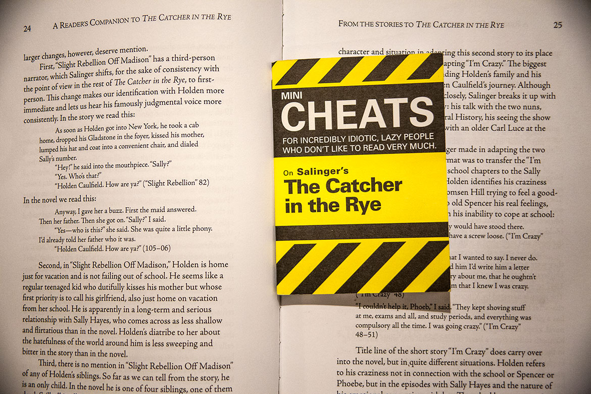 Mini Cheats portfolio image 3