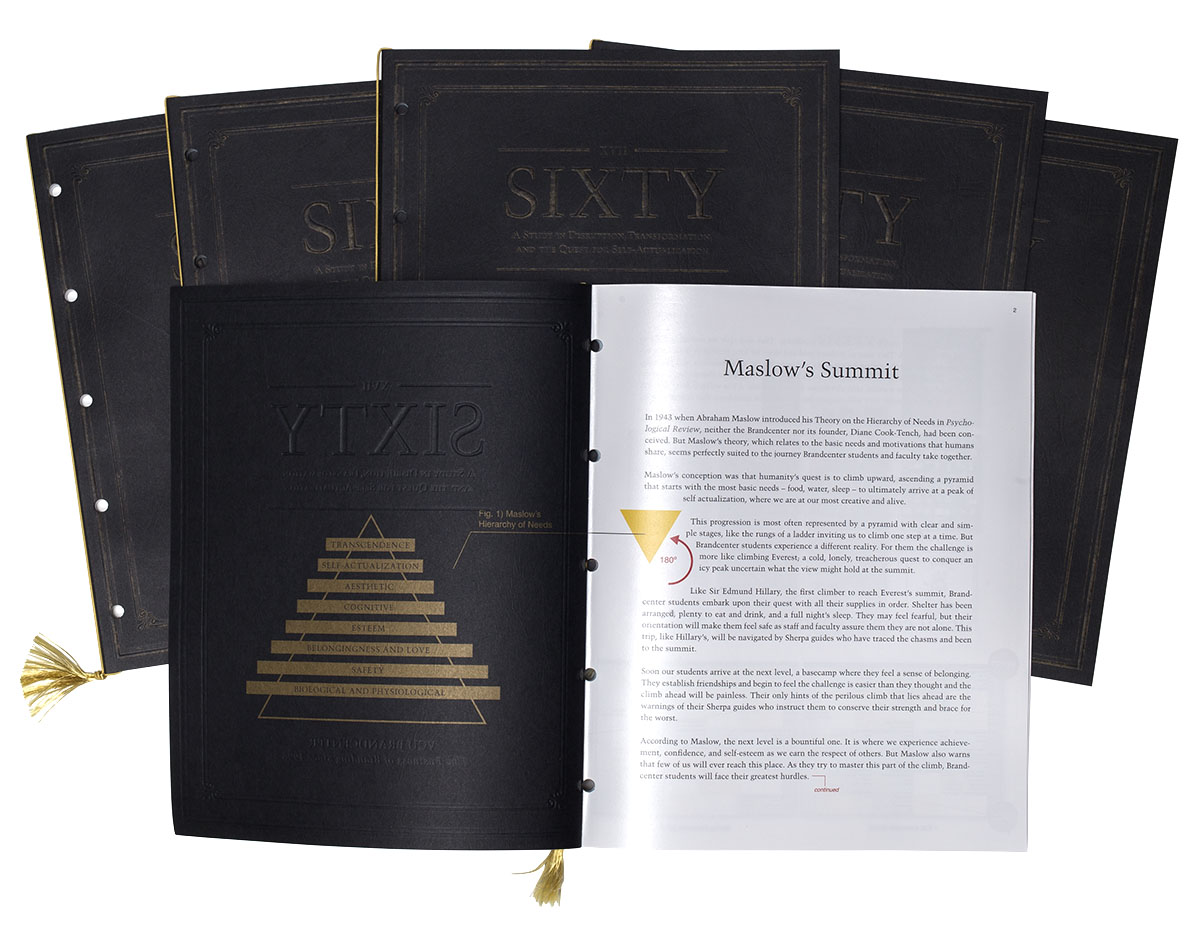 Ica portfolio image 45