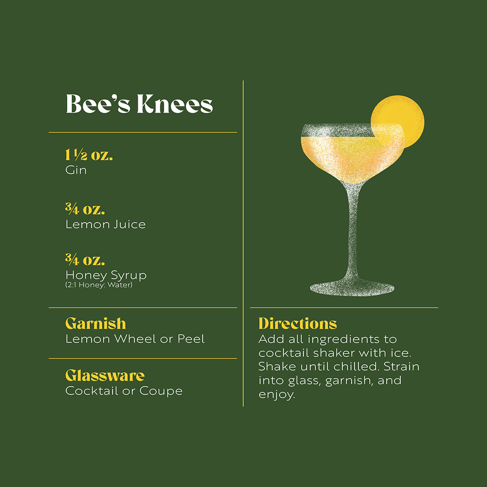 Turtleson portfolio image 6