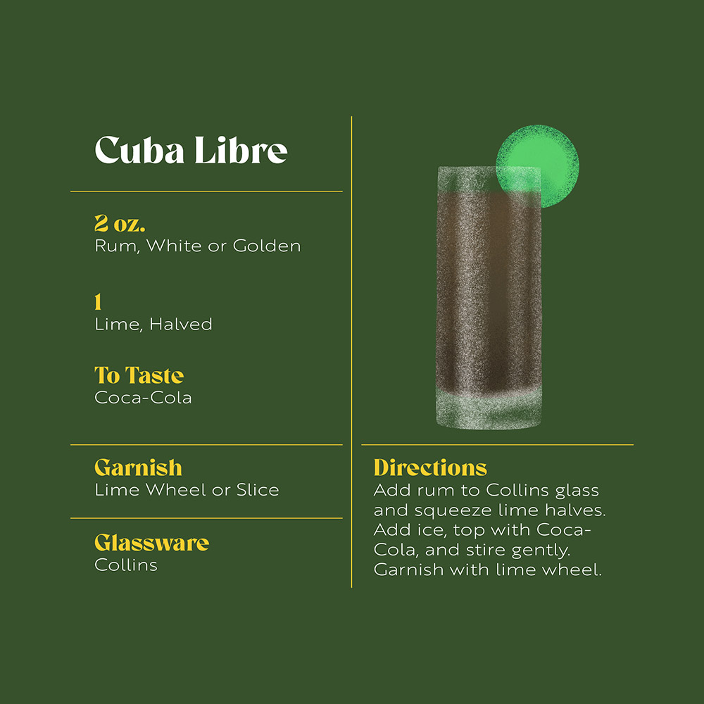 Turtleson portfolio image 7